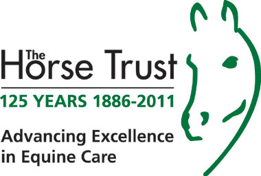 HT New 125yrs Logo